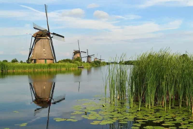 Hollandia NL – Benelux fuvarozás Hollandia NL – Benelux fuvarozás